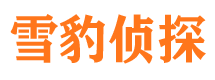 山阴侦探公司